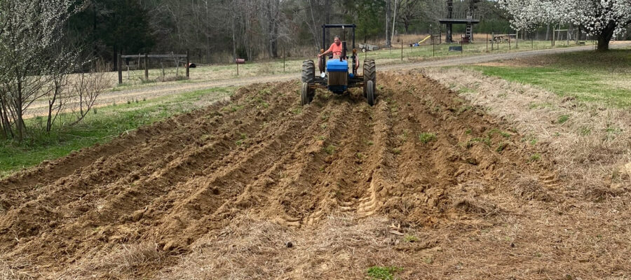 To Till or Not to Till