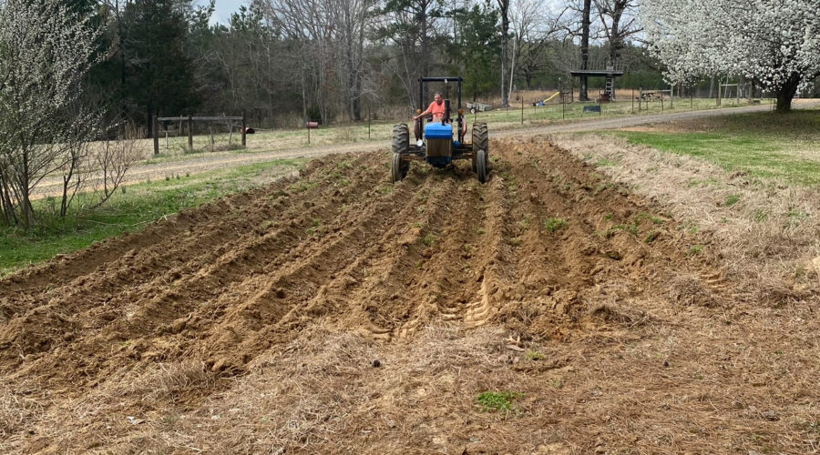 To Till or Not to Till